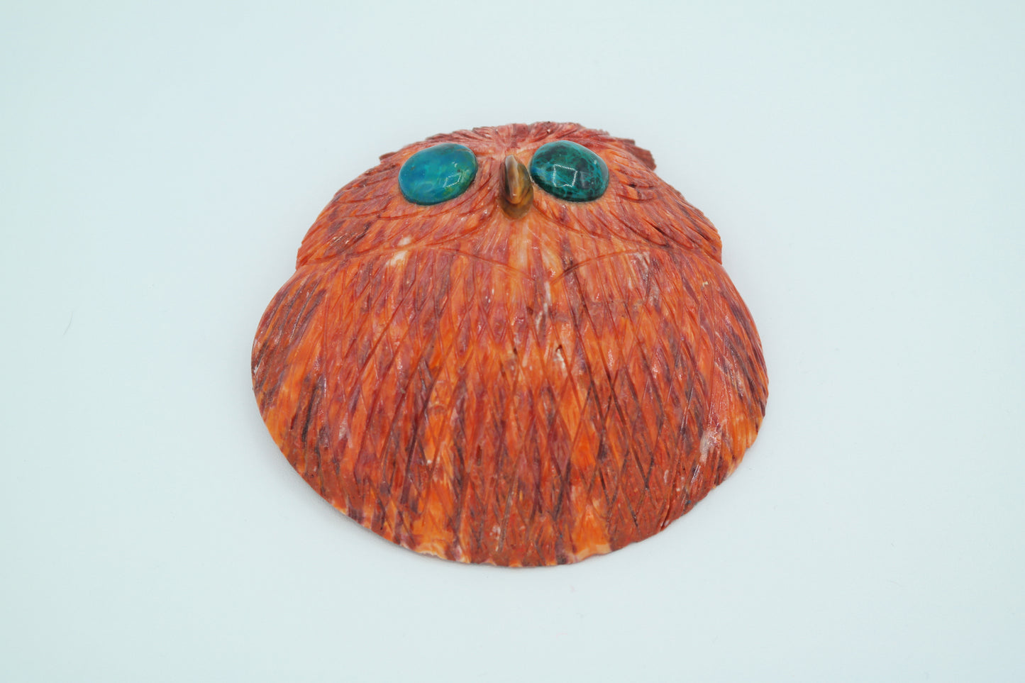 Spiny Oyster Shell Owl