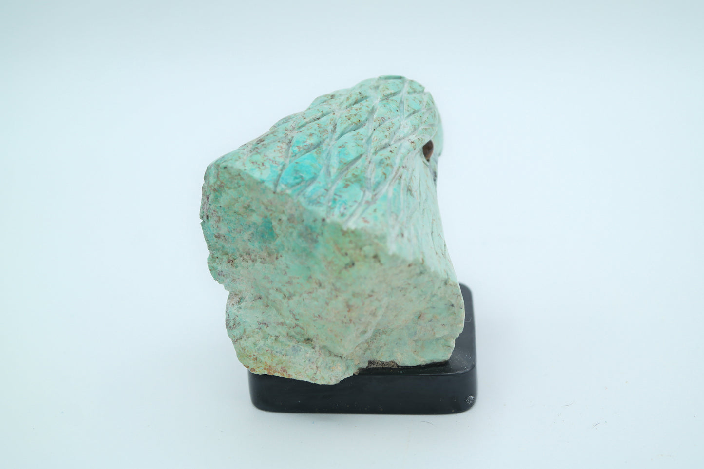 Turquoise Eagle Head Carving
