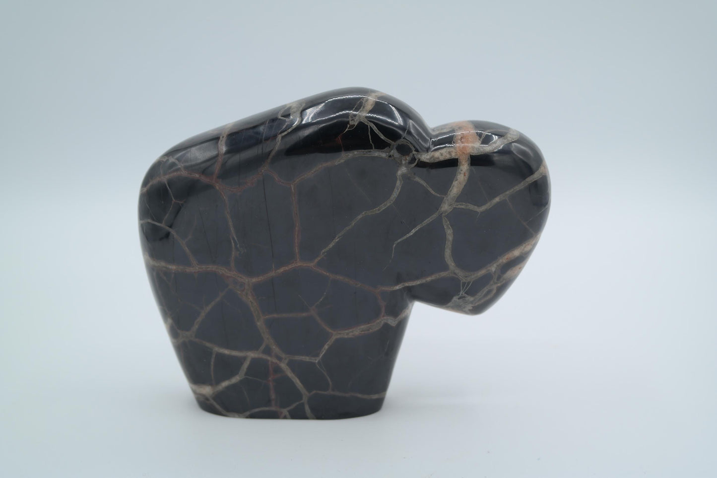 Septarian Simple Bear Carving