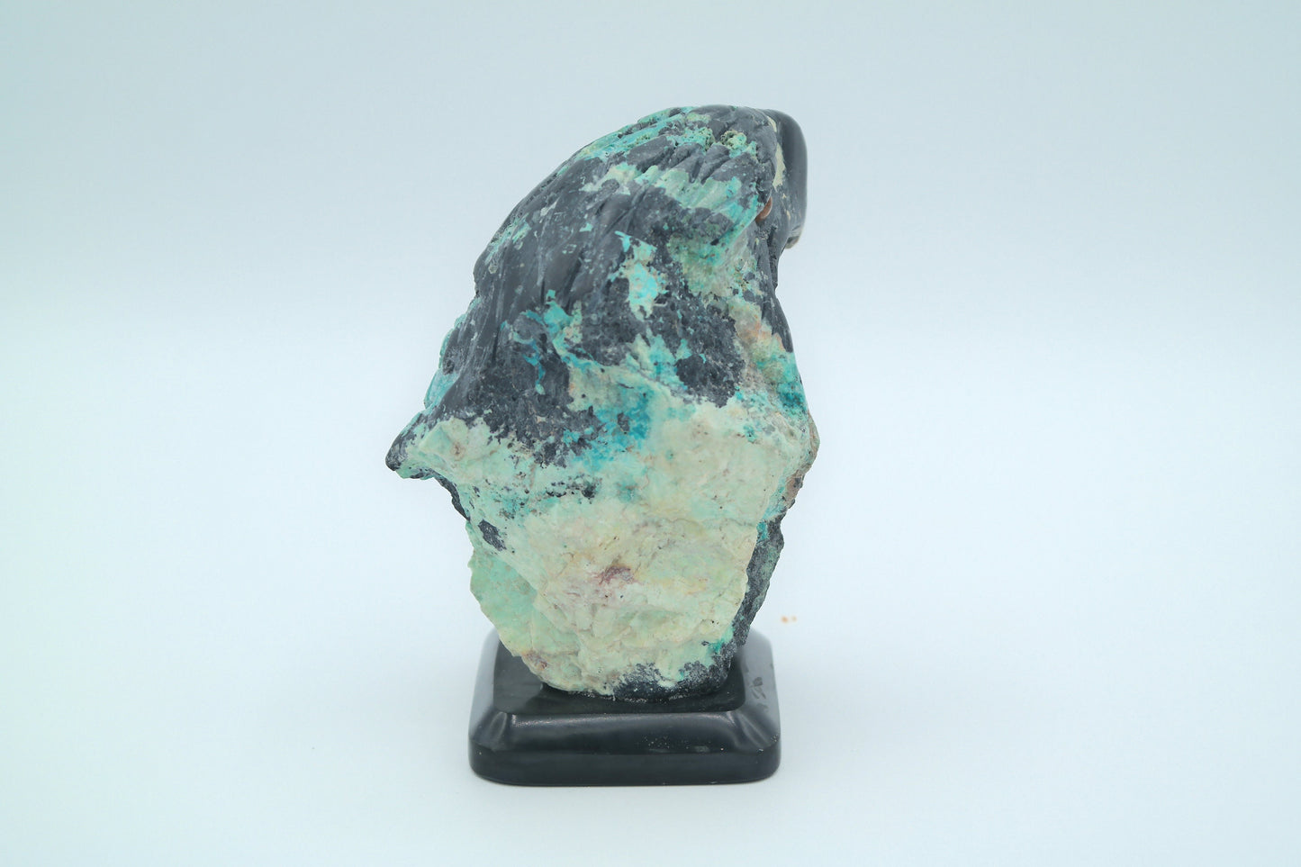 Black Onyx & Turquoise Eagle Head Carving