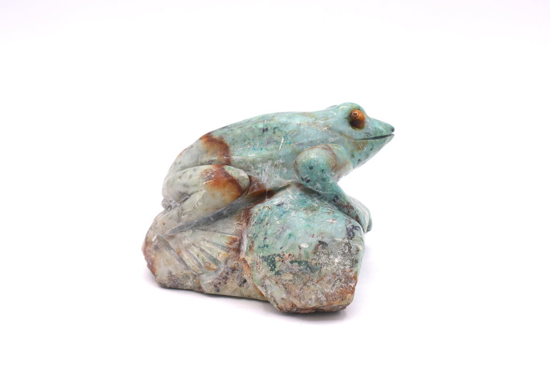 Turquoise Frog Carving on Rock