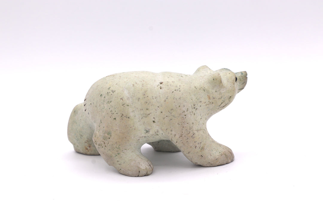 Turquoise Bear Carving