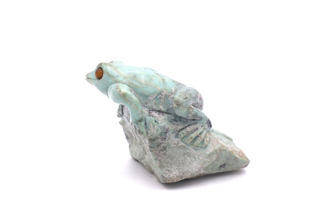 Turquoise Frog Carving on Rock