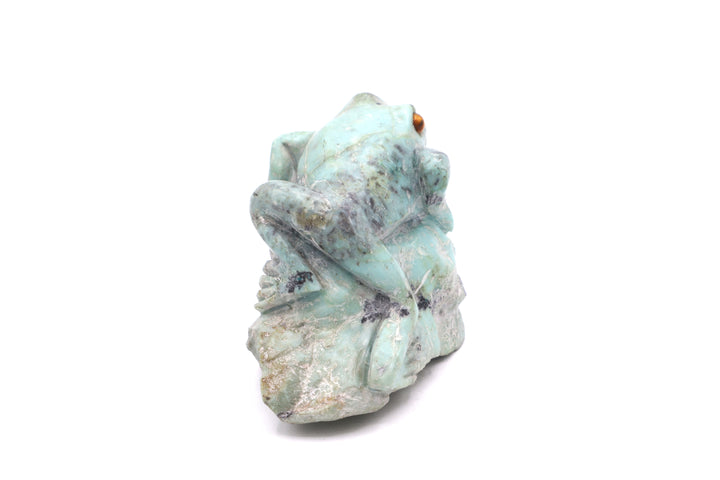 Turquoise Frog Carving on Rock