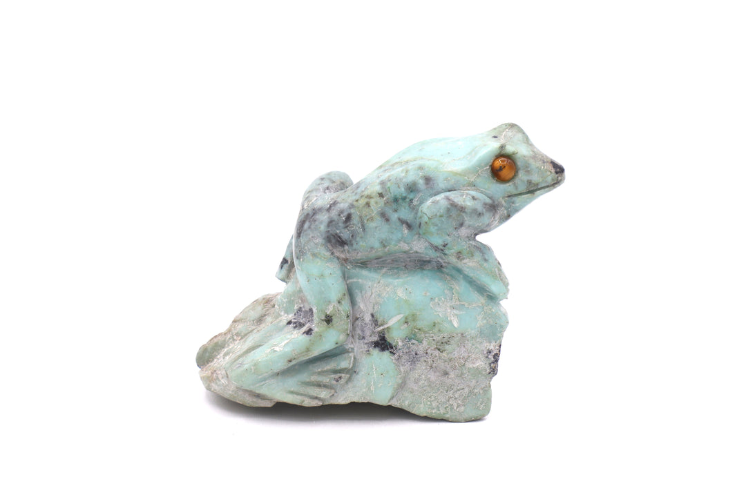 Turquoise Frog Carving on Rock