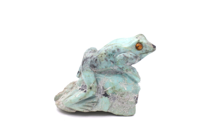 Turquoise Frog Carving on Rock