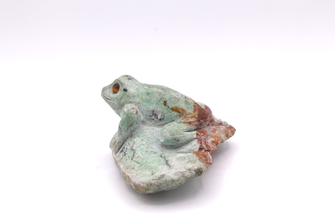 Turquoise Frog Carving on Rock