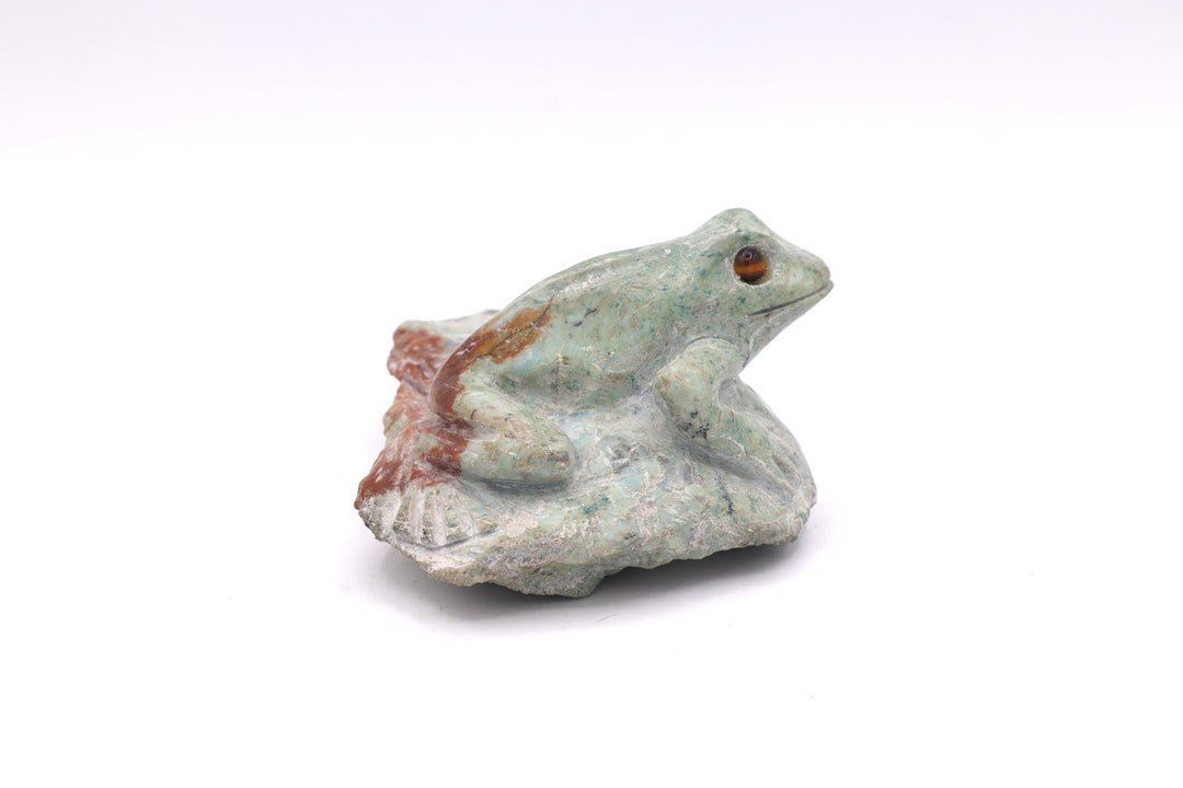 Turquoise Frog Carving on Rock
