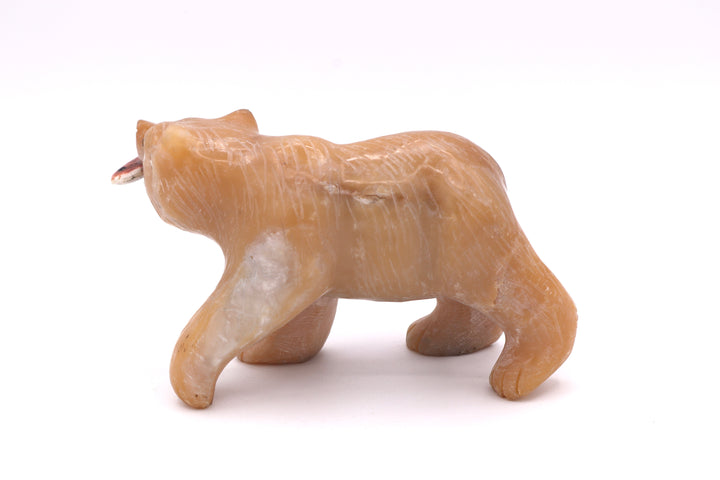 Candy Opal Bear Carving with Red Spiny Oyster Fish