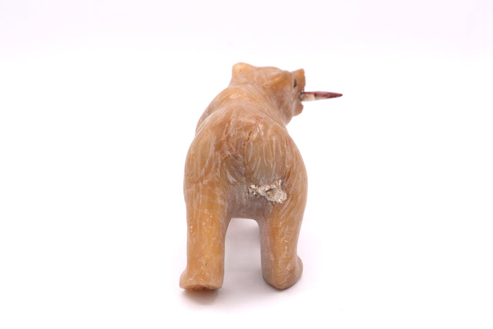 Candy Opal Bear Carving with Red Spiny Oyster Fish