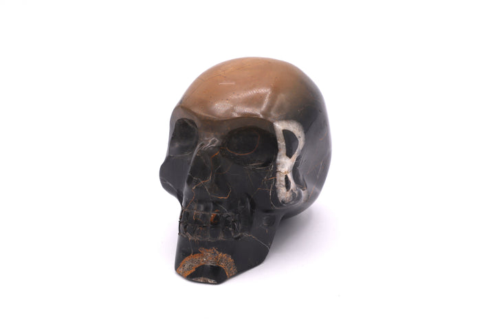 Black &amp; Brown Jasper Skull Carving
