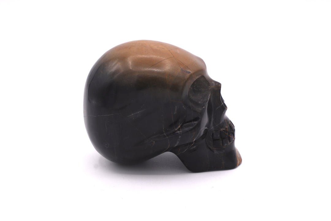 Black &amp; Brown Jasper Skull Carving