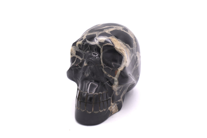 Septarian Skull Carving