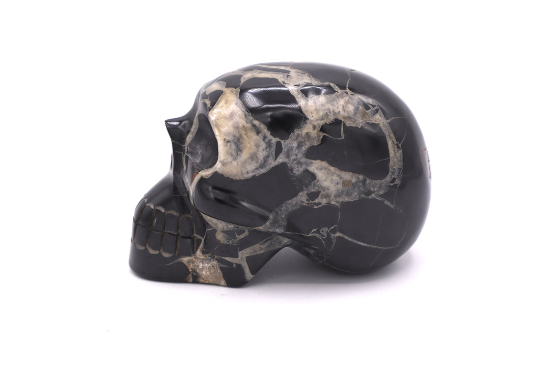 Septarian Skull Carving