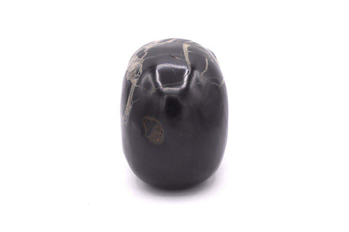 Septarian Skull Carving