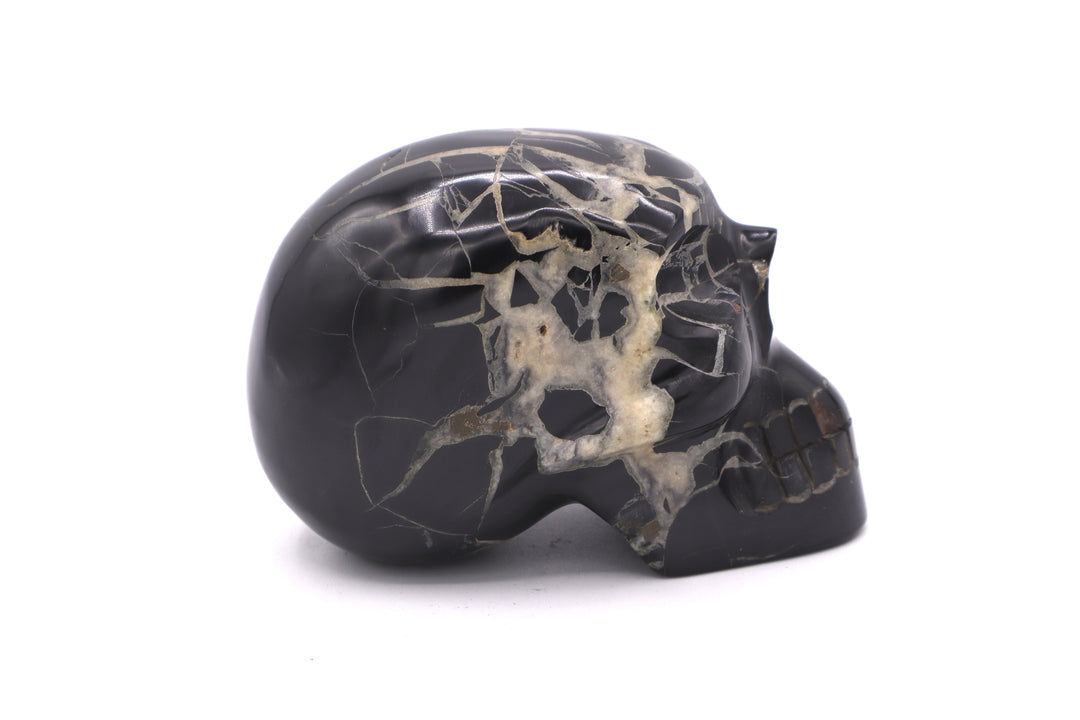 Septarian Skull Carving