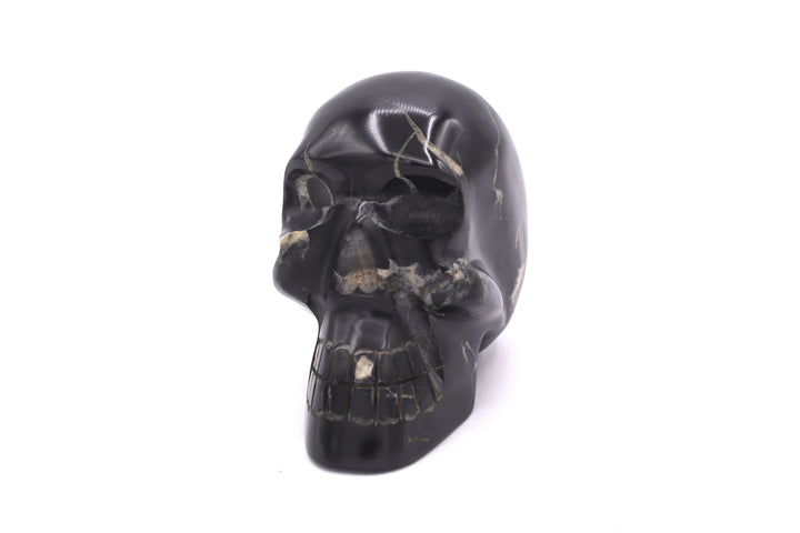 Septarian Skull Carving