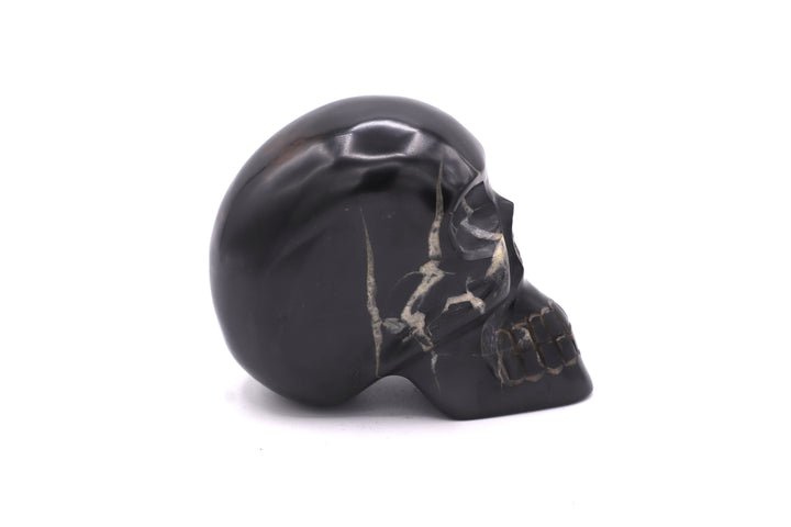 Septarian Skull Carving
