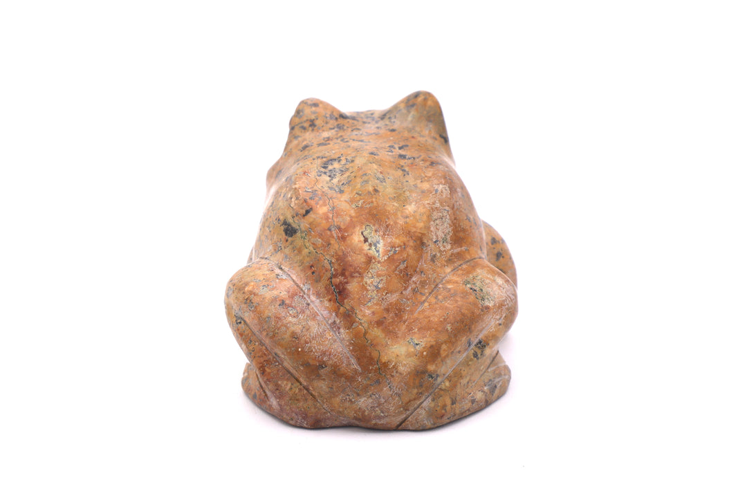 Turquoise Rock Frog Carving