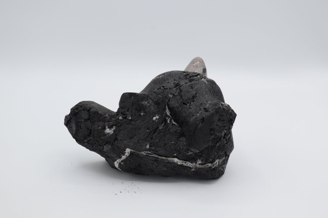 Black Tourmaline Bear Head Carving