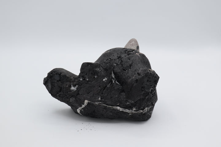 Black Tourmaline Bear Head Carving
