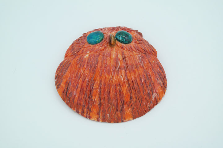 Spiny Oyster Shell Owl