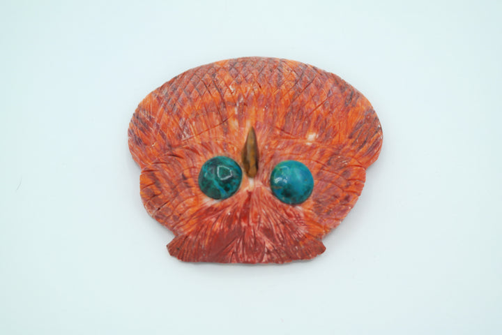 Spiny Oyster Shell Owl
