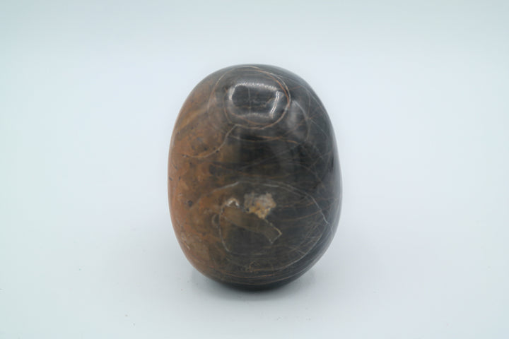 Black and Brown Jasper Skull Carving