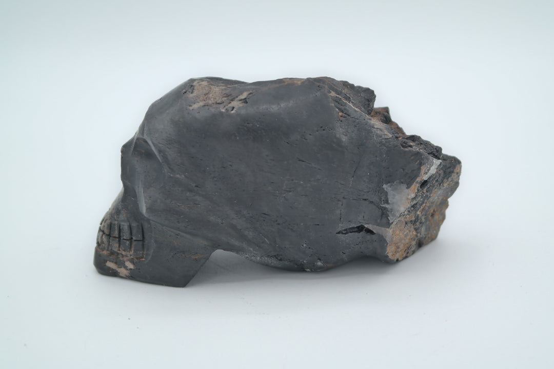 Black Tourmaline Skull Carving