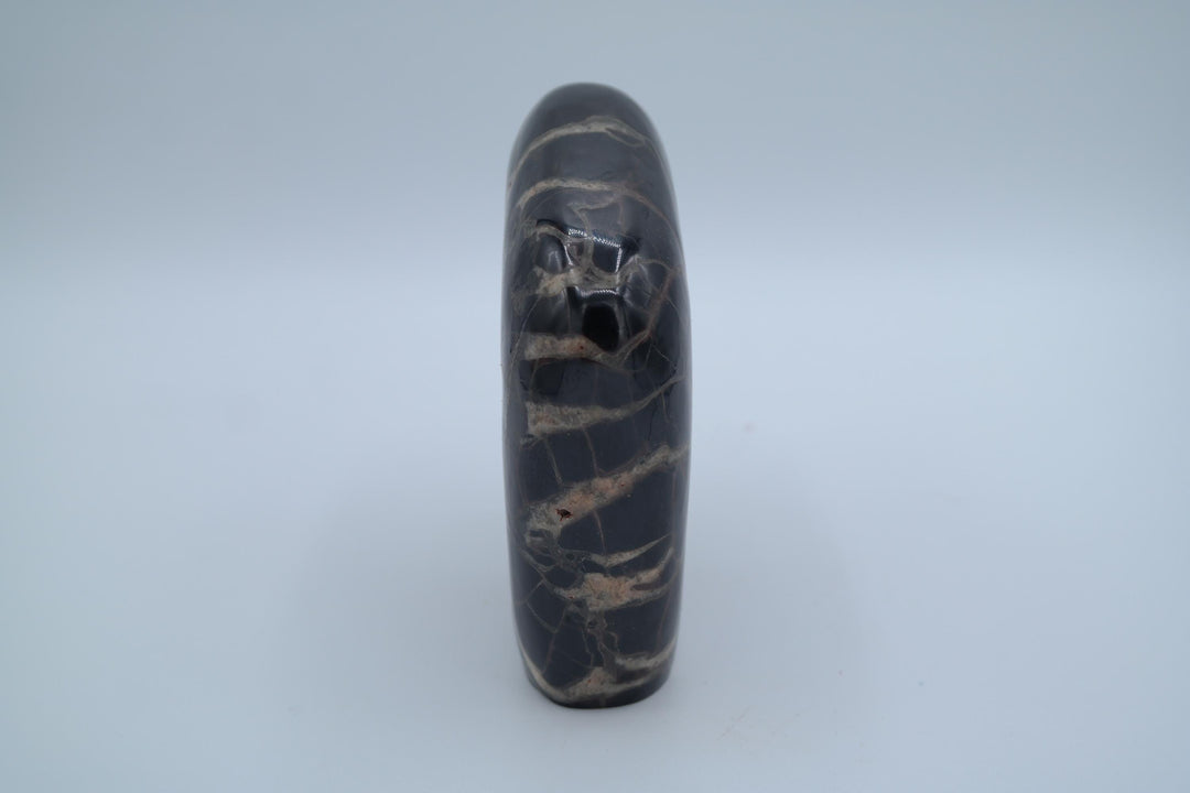 Septarian Simple Bear Carving