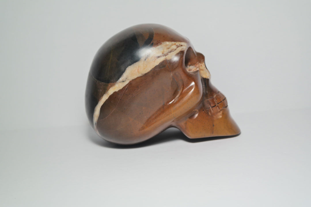 Black and Brown Jasper Skull Carving