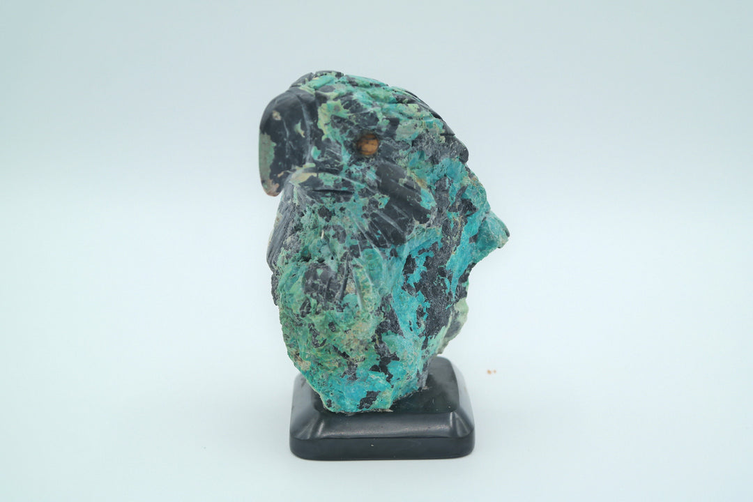 Black Onyx &amp; Turquoise Eagle Head Carving