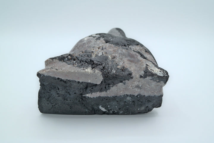 Black Tourmaline Bear Head Carving